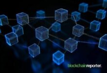 الشوكات الصلبة والشوكات اللينة في سلاسل الكتل: دليل شامل