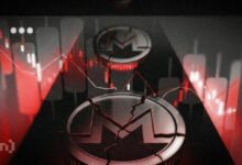 انهيار سعر مونيرو يبدأ؟ مشترو الفرص يتصدون لهبوط XMR إلى 135 دولارًا
