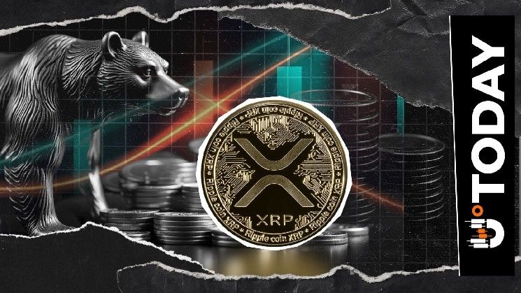 1.92 مليار XRP في 24 ساعة: العملة الرقمية XRP تتحدى اتجاه العقود الآجلة الهبوطي