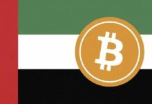صناديق أبوظبي السيادية تبرر الاستثمار في البيتكوين: "مخزن للقيمة يشبه الذهب"