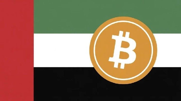 صناديق أبوظبي السيادية تبرر الاستثمار في البيتكوين: "مخزن للقيمة يشبه الذهب"