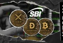 إطلاق جولة جديدة للإقراض بالبيتكوين، بيتكوين كاش، ريبل، دوجكوين، وستيلار اليوم من SBI Trade VC