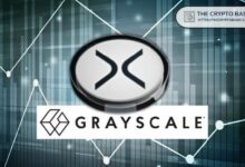 مستشارو الثروات يتلقون استفسارات متكررة من العملاء حول XRP: تنفيذي من Grayscale يؤكد