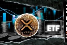 صناديق XRP المتداولة تتعافى من انخفاض حاد بضخ رأسمال جديد بقيمة 16.79 مليون دولار