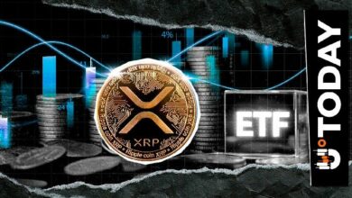 صناديق XRP المتداولة تتعافى من انخفاض حاد بضخ رأسمال جديد بقيمة 16.79 مليون دولار