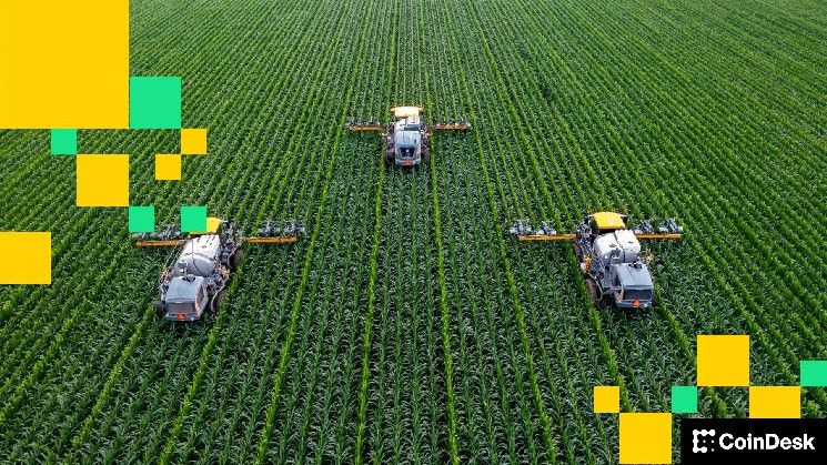 قوة التمويل اللامركزي الصامتة: القيمة المُقفلة على المنصات تصمد أمام اختبارات هبوط السوق