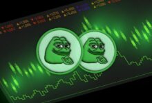 سعر عملة PEPE يواجه صعوبة بالقرب من مستوى الدعم الحاسم وسط ضغوط هبوطية