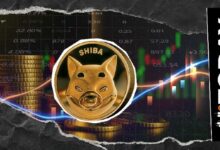 تأثير سحب 140 مليار SHIB من بورصة Shiba Inu على سيولة السوق