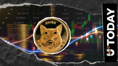 تأثير سحب 140 مليار SHIB من بورصة Shiba Inu على سيولة السوق