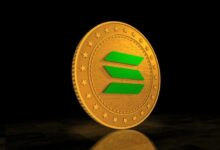 ليلى ليو تدعو لإعادة ضبط البلوكتشين مع التركيز على التمويل في سولانا