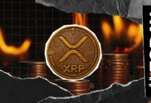 انخفاض معدل حرق XRP بنسبة 2٪ رغم انتعاش السعر