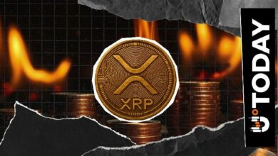 انخفاض معدل حرق XRP بنسبة 2٪ رغم انتعاش السعر