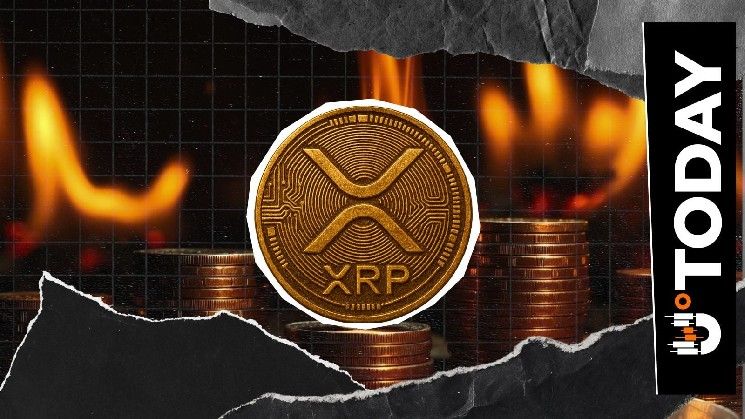 انخفاض معدل حرق XRP بنسبة 2٪ رغم انتعاش السعر