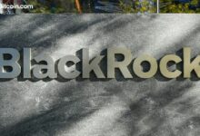 قطاع العملات المستقرة يضيف 703 مليون دولار هذا الأسبوع بينما صندوق بلاكروك BUIDL يقفز 36%