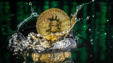 سعر البيتكوين يهبط تحت 66.5 ألف دولار مع تصفية 79 مليون دولار من المراكز الطويلة