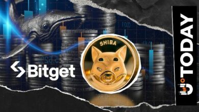 حوت يرسل 30٪ من حيازته إلى Bitget بعد احتفاظ طويل: خسائر شيبا إينو تقترب من 203 مليار