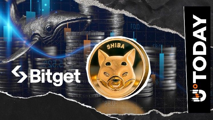 حوت يرسل 30٪ من حيازته إلى Bitget بعد احتفاظ طويل: خسائر شيبا إينو تقترب من 203 مليار