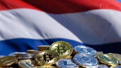 الحكومة الهولندية تدرس مراجعة الضريبة على أرباح العملات الرقمية والاستثمارات غير المحققة