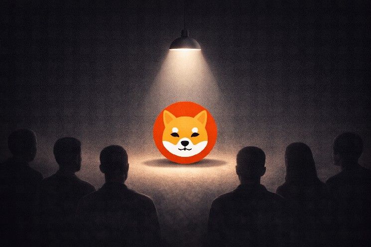 مجتمع شيبا إينو يستعد لمناقشة "فائقة الأهمية" حول SHIB يوم الأحد