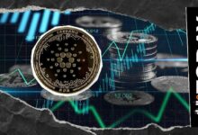 كاردانو تعمل بجد خلف الكواليس ولديها إنجازات واضحة: ملاحظات من الرئيس التنفيذي لأناستاسيا