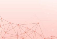 "بابايا جلوبال" تطلق محفظة ودفع للقوى العاملة