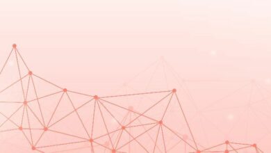 "بابايا جلوبال" تطلق محفظة ودفع للقوى العاملة