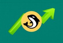 أوركا تحقق ذروة شهرية فوق 1.29 دولار مدفوعة بحجم التداول في أبيت