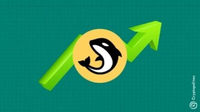 أوركا تحقق ذروة شهرية فوق 1.29 دولار مدفوعة بحجم التداول في أبيت