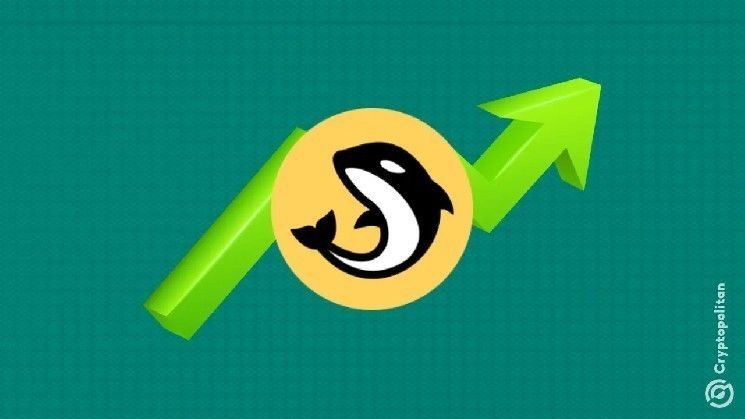 أوركا تحقق ذروة شهرية فوق 1.29 دولار مدفوعة بحجم التداول في أبيت