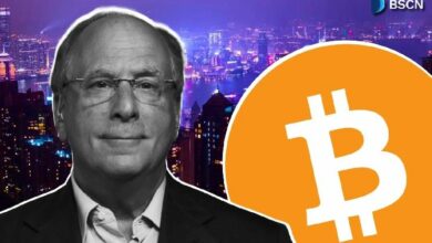 شركة غامضة تحتفظ بـ 436 مليون دولار في صندوق بلاك روك للبتكوين ولا شيء غيره