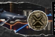 حوت XRP ينقل 127 مليون دولار مع انخفاض السعر 5%