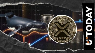 حوت XRP ينقل 127 مليون دولار مع انخفاض السعر 5%