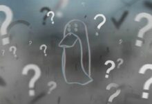 زاك إكس بي تي يكشف فضيحة تداول من الداخل في شركة كريبتو رائدة الخميس المقبل