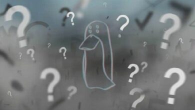 زاك إكس بي تي يكشف فضيحة تداول من الداخل في شركة كريبتو رائدة الخميس المقبل