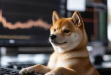 شيبا إينو تشهد ارتفاعًا مع نقل OKX 20.8 مليار SHIB إلى التخزين البارد