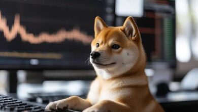 شيبا إينو تشهد ارتفاعًا مع نقل OKX 20.8 مليار SHIB إلى التخزين البارد