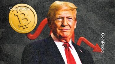 كيف أثر انهيار سوق العملات الرقمية بشدة على محفظة دونالد ترامب الاستثمارية؟