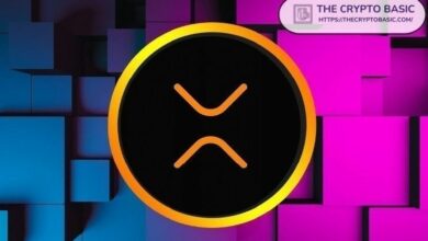 بعد تخطي سولانا.. إكس آر بي تستهدف التفوق على بي إن بي في مجال التوكنيز العقاري بإضافة 354 مليون دولار خلال 30 يومًا