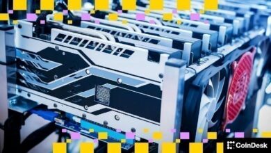 تعدين العملات الرقمية يسهم في استقرار الطاقة.. بارادايجم ترد على الهجمة التنظيمية