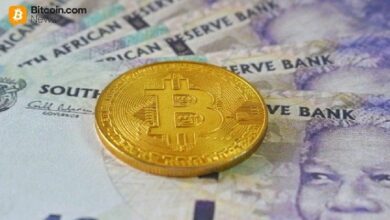 جنوب إفريقيا تبدأ في إخضاع العملات الرقمية لضوابط تدفق رأس المال