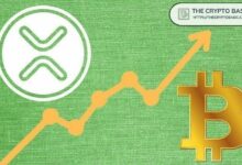 XRP: كيف بدأ كبديل للبيتكوين قبل 15 عامًا وفقًا لمدير ريبل السابق