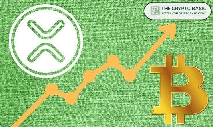 XRP: كيف بدأ كبديل للبيتكوين قبل 15 عامًا وفقًا لمدير ريبل السابق