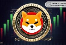 حوت شيبا إنو ينقل أكثر من 370 مليار SHIB إلى منصة تداول