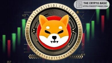 حوت شيبا إنو ينقل أكثر من 370 مليار SHIB إلى منصة تداول