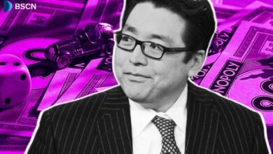 تعرف على توم لي: مايكل سايلور عالم الإيثيريوم