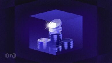 ستيلار (XLM) تهبط تحت 0.20 دولار رغم تسجيل النشاط على السلسلة أعلى مستوياته