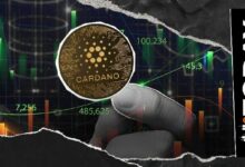 إطلاق ترقية رئيسية لشبكة كاردانو الرئيسية تؤدي إلى تسريع المزامنة بنسبة 30%