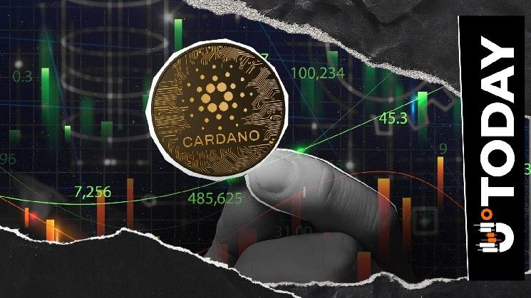 إطلاق ترقية رئيسية لشبكة كاردانو الرئيسية تؤدي إلى تسريع المزامنة بنسبة 30%