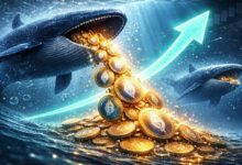 الحيتان تشتري عند الانخفاض مع إعادة السعر اختبار منطقة الدخول لعام 2024