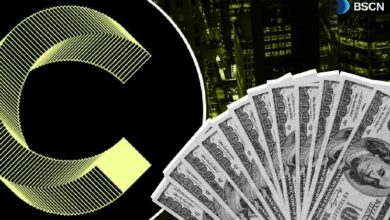 صندوق تطوير كانتون يبدأ العمل: كل ما تريد معرفته عن آلية عمله وأهميته